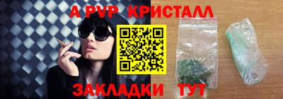 стаф Белореченск
