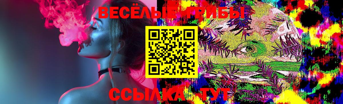 где купить наркоту  Вход с VPN  Псилоцибиновые грибы мухоморы  Карталы  Псилоцибиновые грибы мицелий 