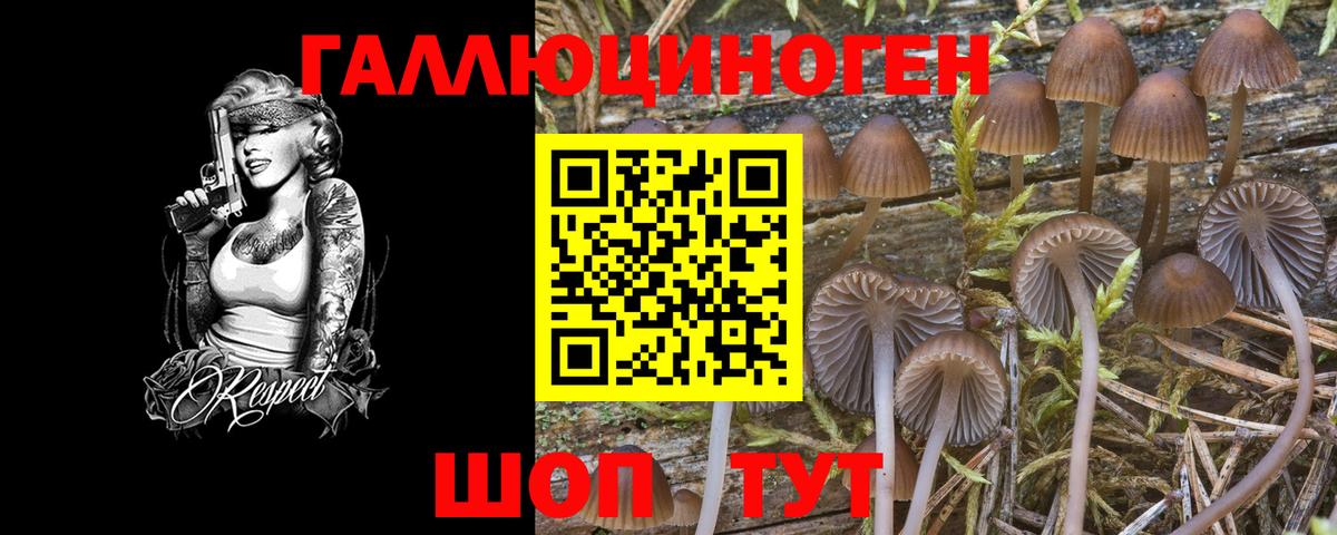 Псилоцибиновые грибы Psilocybe Карталы